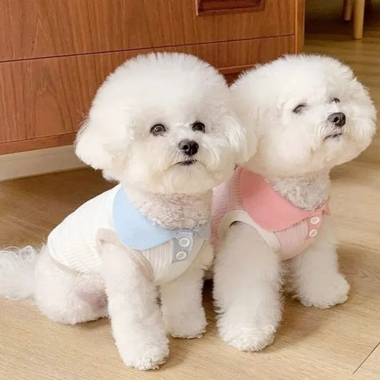 Cute Summer Dog Shirt – Lightweight & Breathable Outfit for Small Dogs